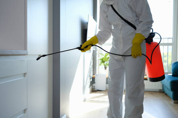Best Crawl Space Mold Remediation  in Bluewell, WV