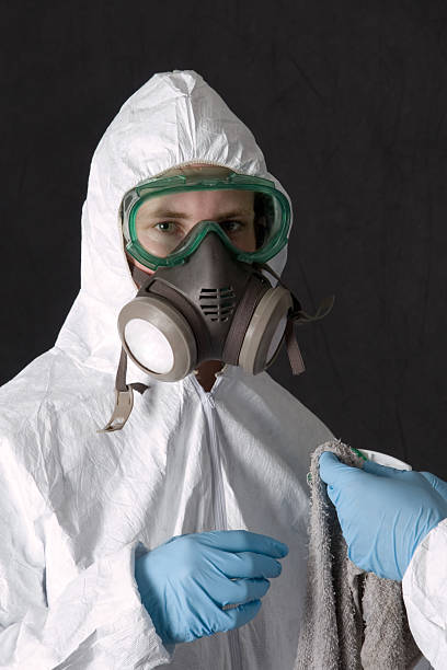 Reliable Bluewell, WV Mold Removal Solutions